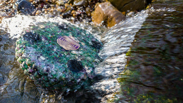 How to Clean and Charge Your Orgonites