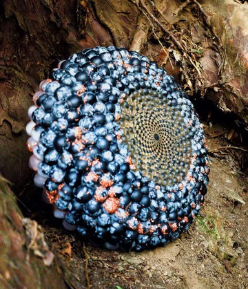 Apache Tear orgonite