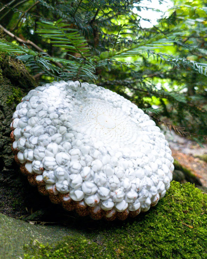 Torus disc Orgonite | White Howlite, Pyrite