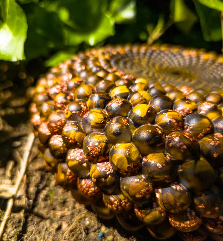 Tigers Eye Torus disc | Special edition Solar Plexus