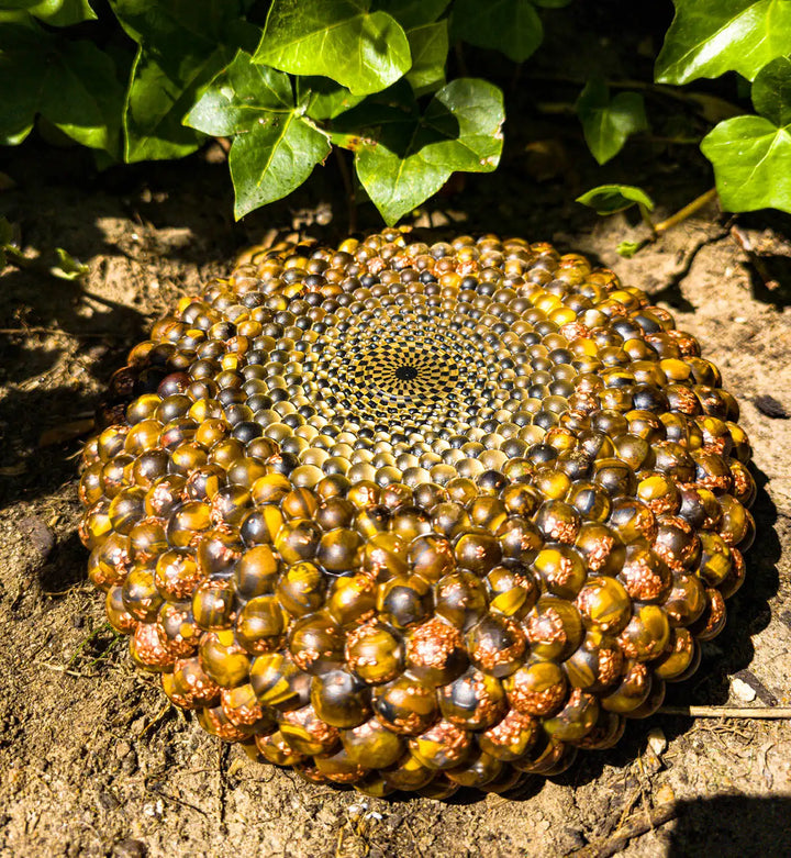 Tigers Eye Torus disc | Special edition Solar Plexus