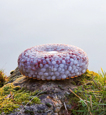 Torus Orgonite Generator Milky Quartz