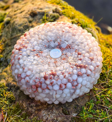 Torus Orgonite Generator Milky Quartz