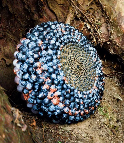 Apache Tear orgonite